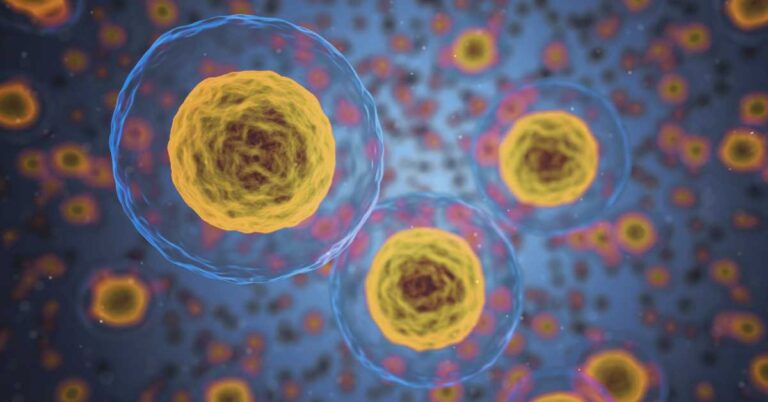 Phosphatidylcholine IV Therapy with Added Nutrients